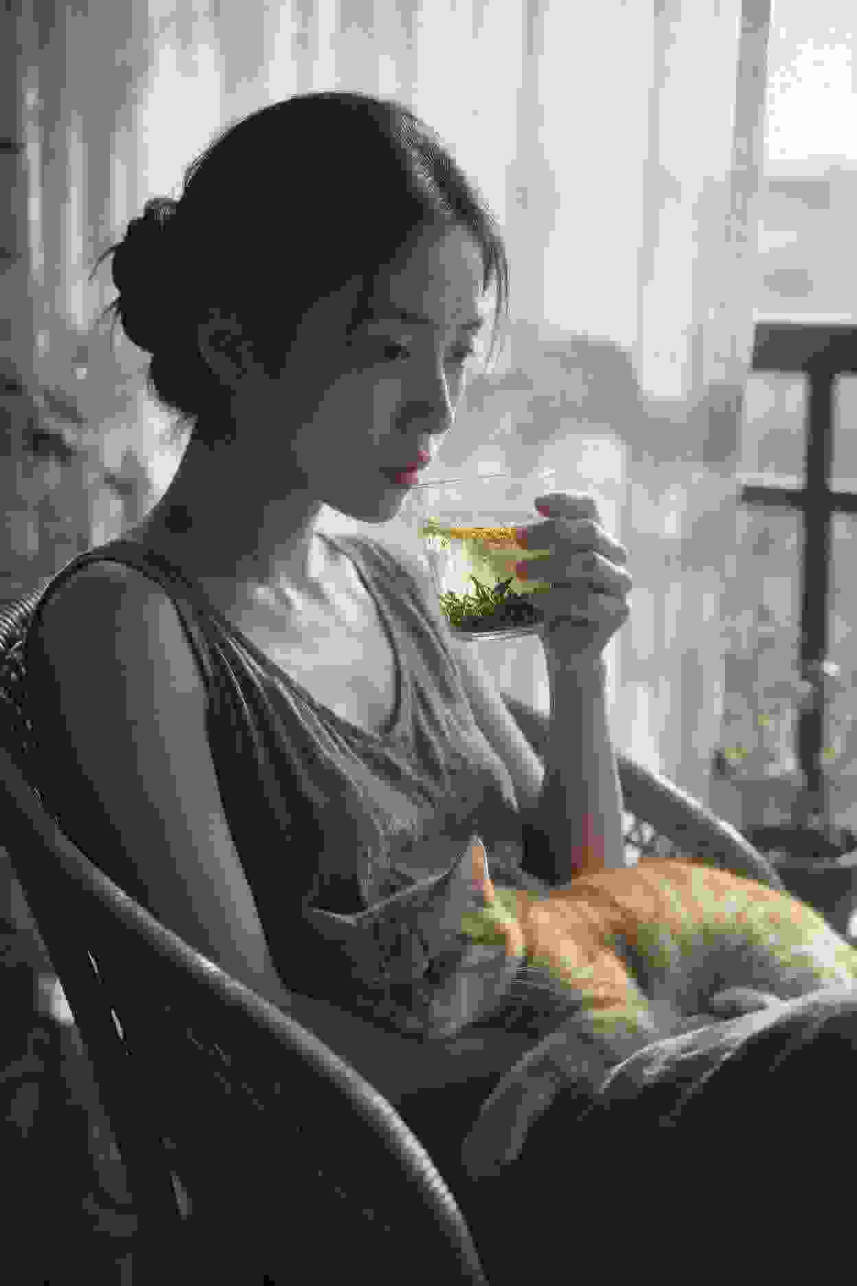 破产家族